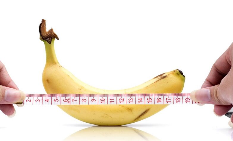 L'effet de l'abstinence sur la longueur du pénis.